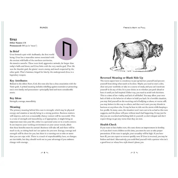 In Focus Runes: Your Personal Guide