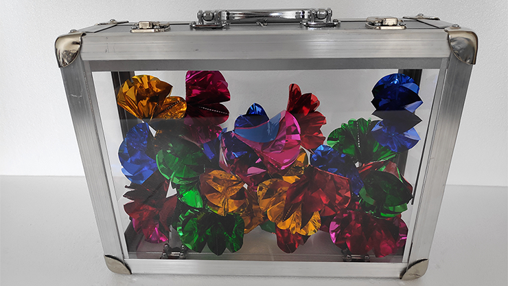 Glassy Briefcase by Tora Magic - Trick