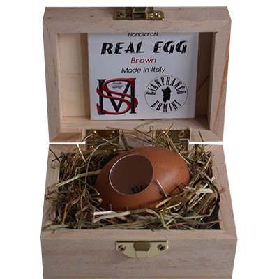 Real Egg (Brown) by Gianfranco Ermini & Stratomagic - Trick