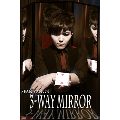 3 Way Mirror Sean Yang