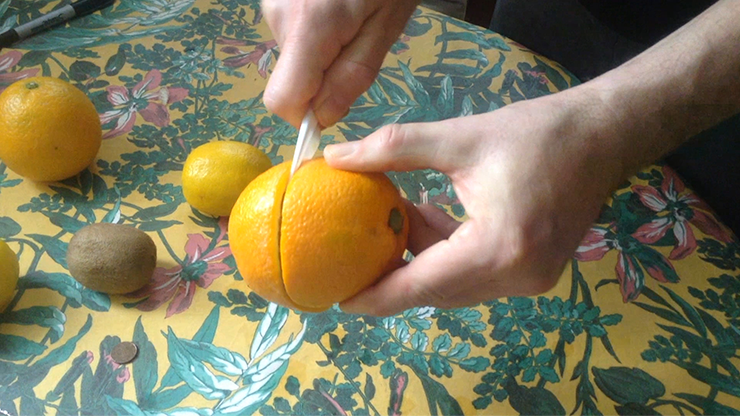 CITRUS: The Next Generation (C1 - Large) by Nourdine - Trick