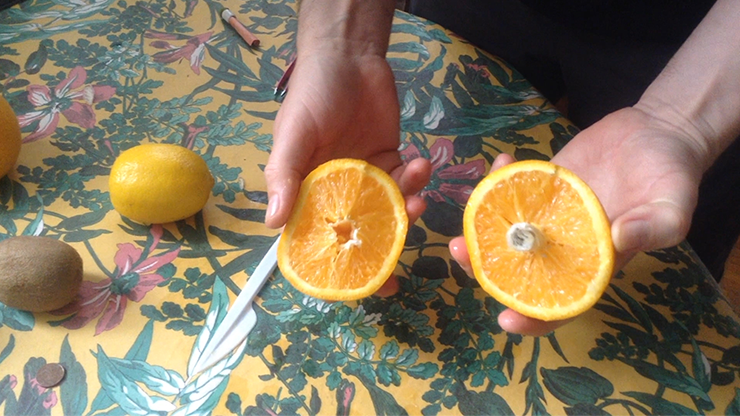 CITRUS: The Next Generation (C1 - Large) by Nourdine - Trick