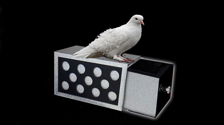 DRAWER BOX WITH HOLES (SILVER) by Tora Magic