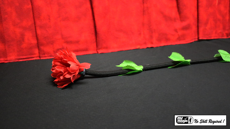 Fresh Flower by Mr. Magic - Trick