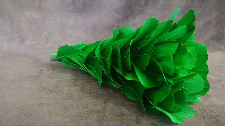 Blooming Bouquet (5 Blooms) by Tora Magic - Trick
