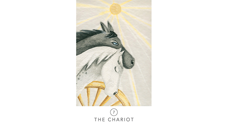 White Sage Tarot Cards