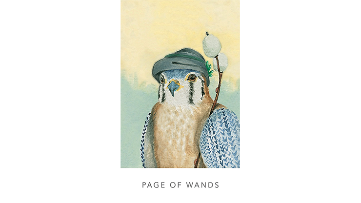 White Sage Tarot Cards
