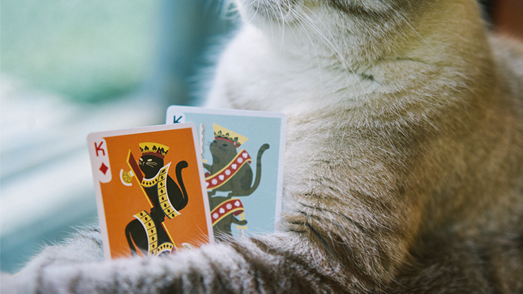 Meow Star Playing Cards by Bocopo