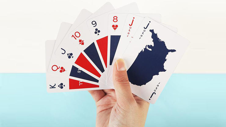 Lingo (American Slang) Plying Cards