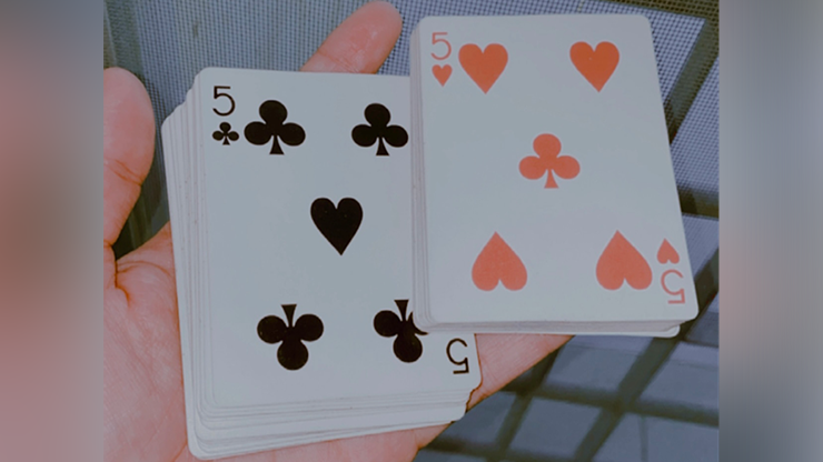 MSPRNT 00 - "FLWR" Playing Cards