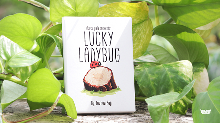 Lucky Ladybug (Gimmicks and Online Instructions) by by Joshua Ray & Deuce Gala Magic