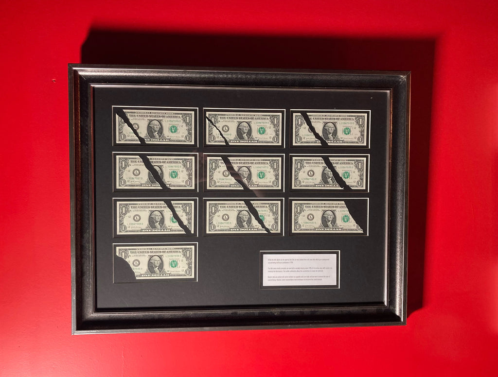 The Nine Dollar Scam (ART) by Brent Braun