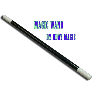 Wand 10 inch by Uday's Magic World - Trick